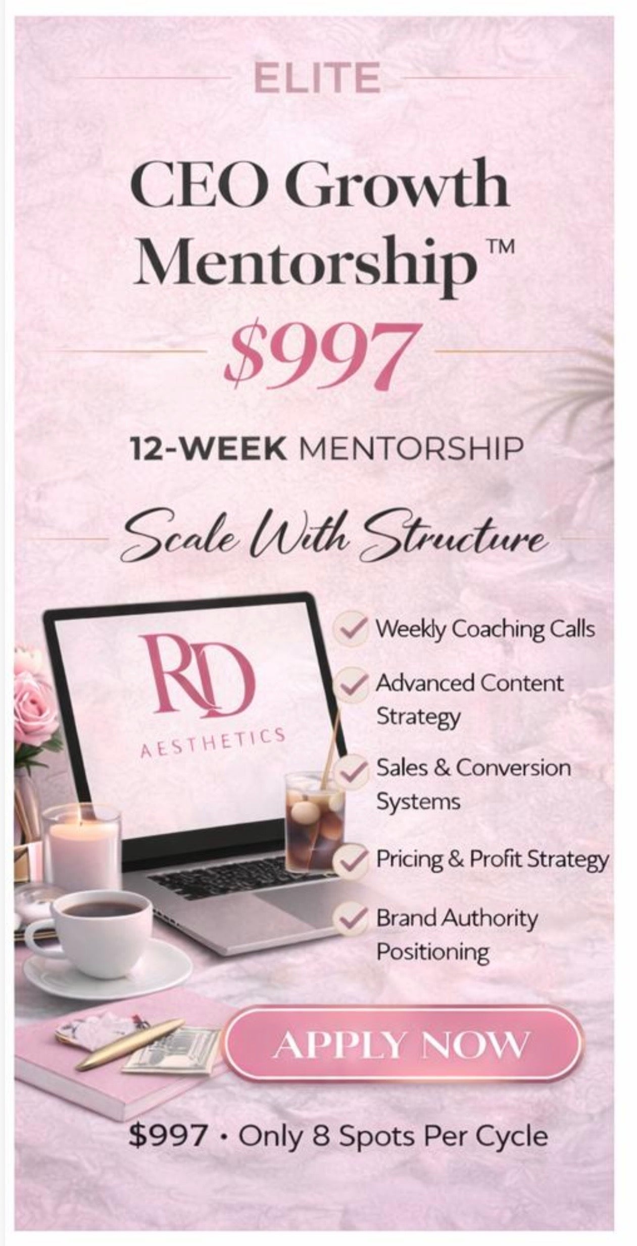 CEO Growth Mentorship (12-week program)